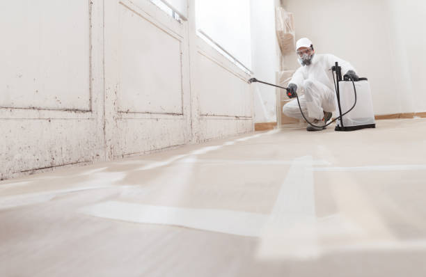 24/7 Emergency Mold Testing experts in Newburg, PA